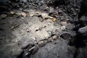 Археологи нашли постройку времен ацтеков