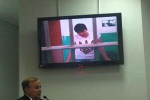 Надежда Савченко участвовала в заседании в режиме видеоконференции