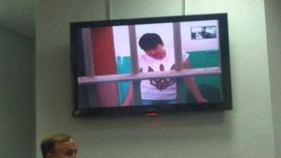 Надежда Савченко участвовала в заседании в режиме видеоконференции