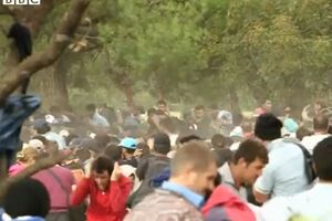 Многие мигранты пострадали в столкновениях с полицией на греко-македонской границе