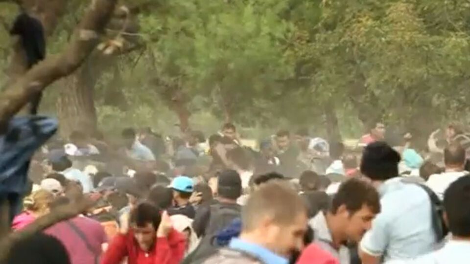 Многие мигранты пострадали в столкновениях с полицией на греко-македонской границе