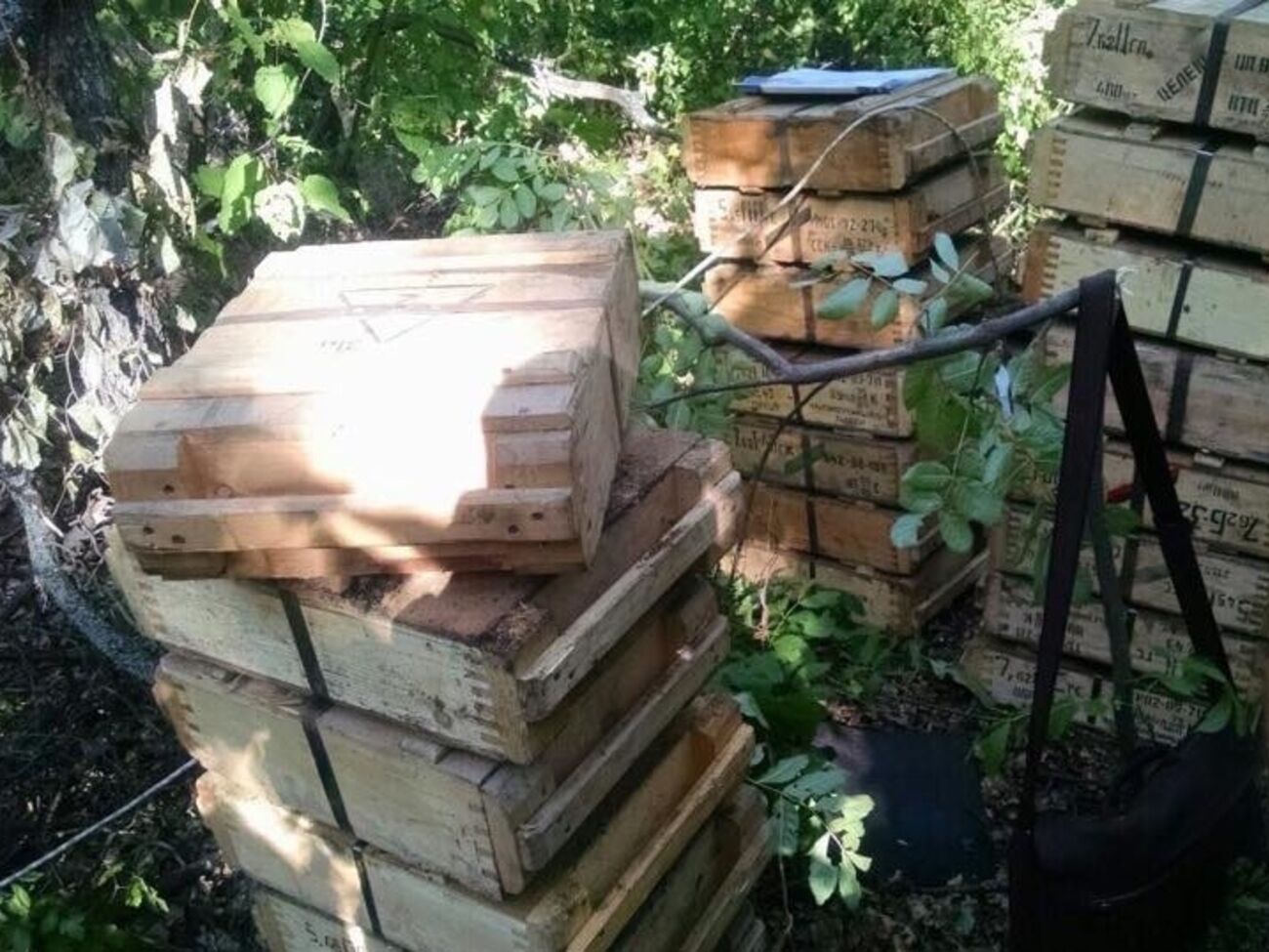 Незаконный склад боеприпасов найден в лесополосе в Новоайдарском районе