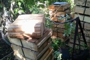 Незаконный склад боеприпасов найден в лесополосе в Новоайдарском районе