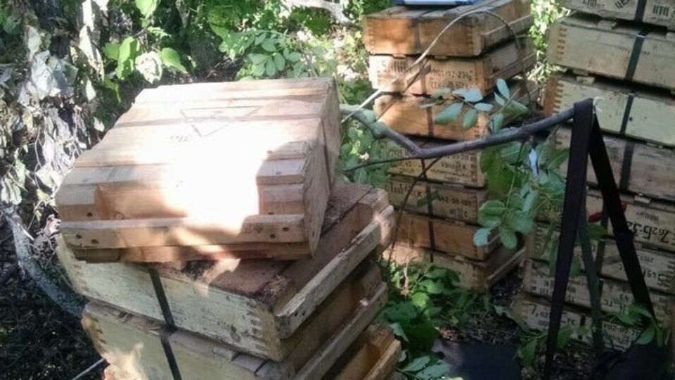 Незаконный склад боеприпасов найден в лесополосе в Новоайдарском районе