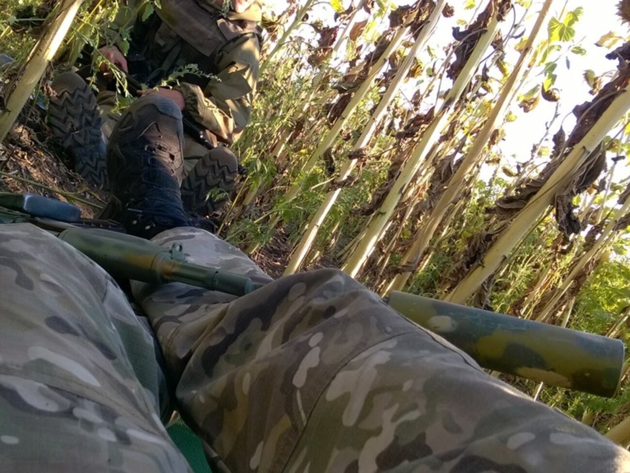 Шовкошитный:&nbsp;Ночи в секретах подтверждают, что количество контрабанды резко уменьшилось