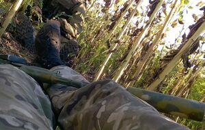 Шовкошитный: Ночи в секретах подтверждают, что количество контрабанды резко уменьшилось