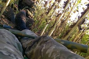 Шовкошитный: Ночи в секретах подтверждают, что количество контрабанды резко уменьшилось