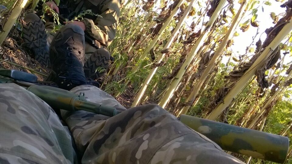 Шовкошитный: Ночи в секретах подтверждают, что количество контрабанды резко уменьшилось