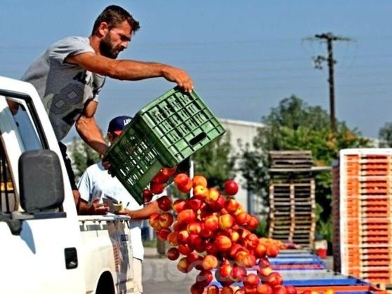 В России продолжают всеми способами бороться с санкционной едой