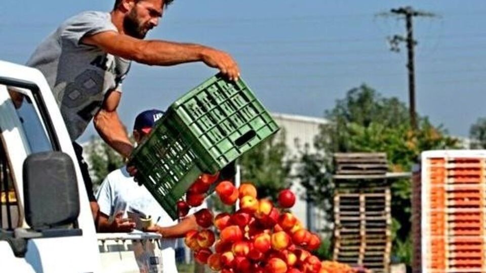 В России продолжают всеми способами бороться с санкционной едой