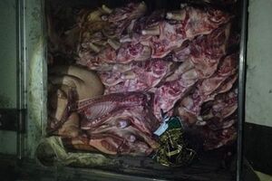 На оккупированную территорию пытались контрабандой провезти мясо