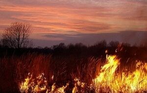 Под Киевом горят торфяники