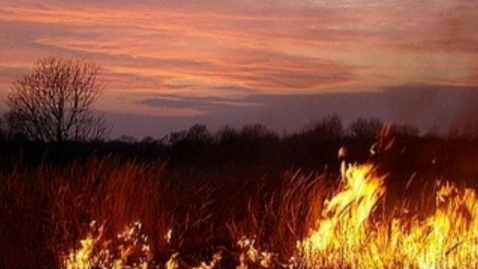 Под Киевом горят торфяники