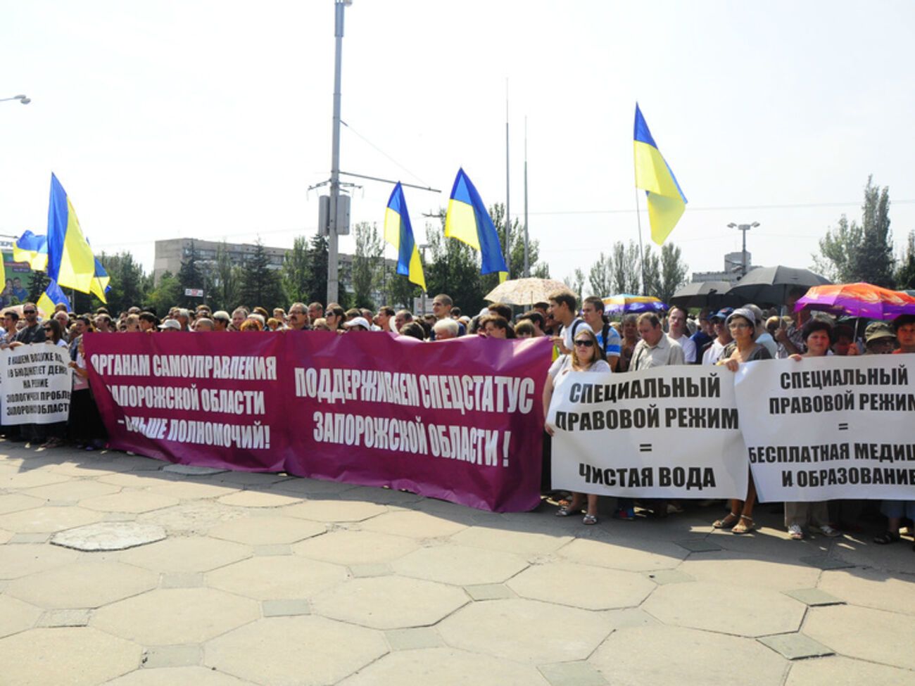 Во время голосования под стенами Запорожского облсовета проходил митинг в поддержку законопроекта