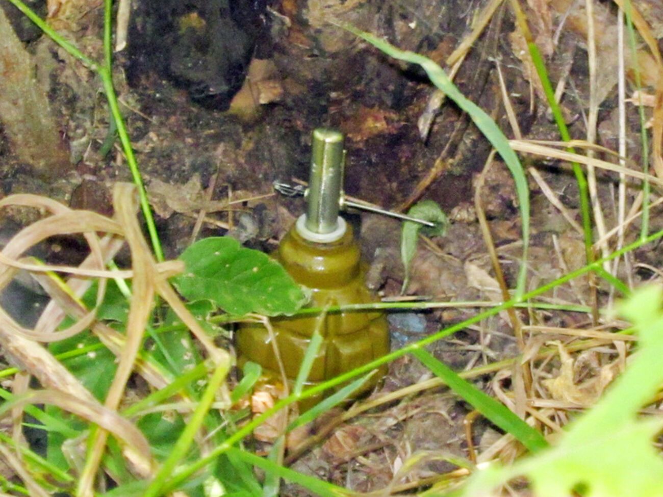 Двое военных ранены из-за подрыва на растяжке в селе Крымском Луганской области