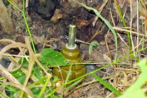 Двое военных ранены из-за подрыва на растяжке в селе Крымском Луганской области