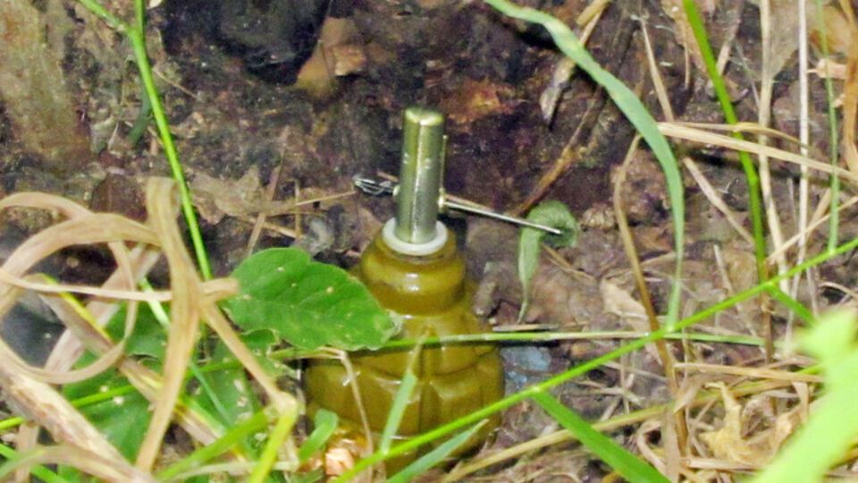 Двое военных ранены из-за подрыва на растяжке в селе Крымском Луганской области