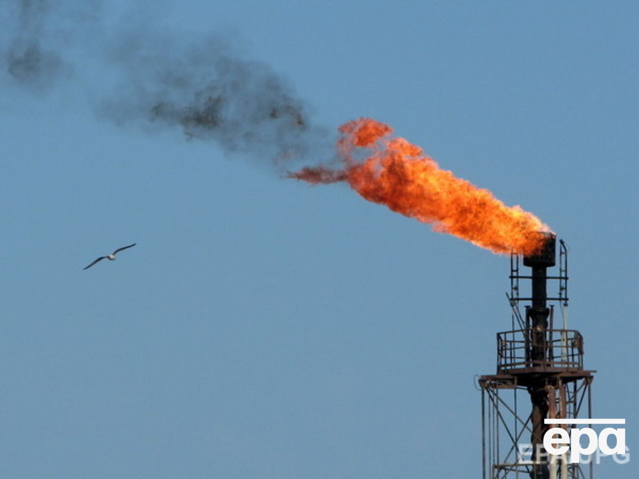 Россия снизила экспортные пошлины на нефть