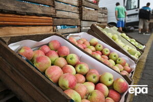 В России будут искать санкционные продукты в торговых сетях, чтобы затем их уничтожить