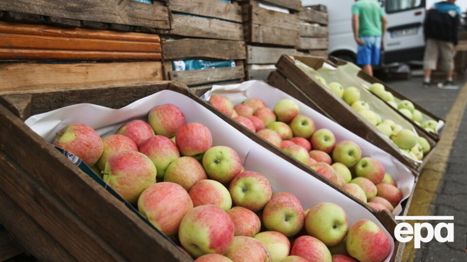 В России будут искать санкционные продукты в торговых сетях, чтобы затем их уничтожить