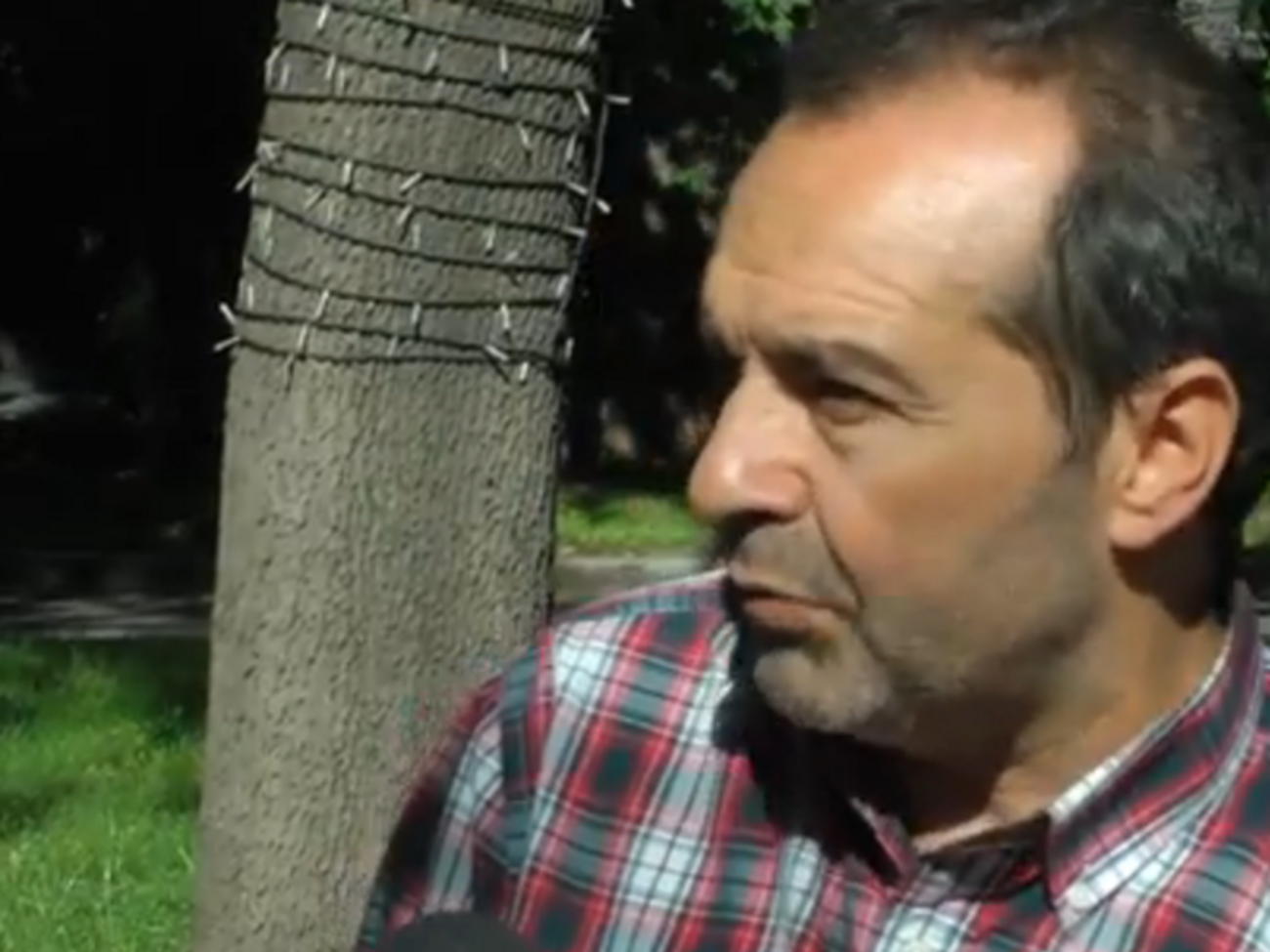 Известный российский писатель и публицист Виктор Шендерович