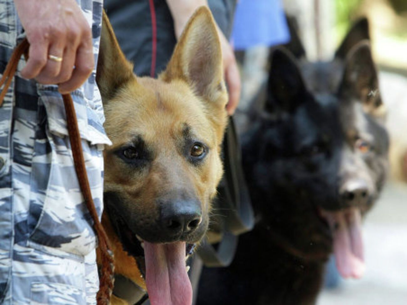 Правоохранители проверяют анонимное сообщение о минировании здания в Одессе