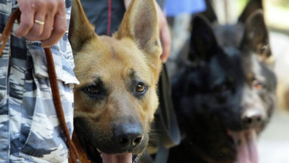 Правоохранители проверяют анонимное сообщение о минировании здания в Одессе