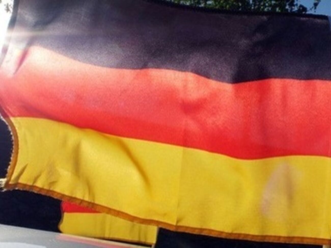 СМИ: Немецкие депутаты пока не планировали ехать в Крым