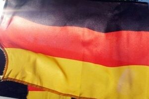 СМИ: Немецкие депутаты пока не планировали ехать в Крым