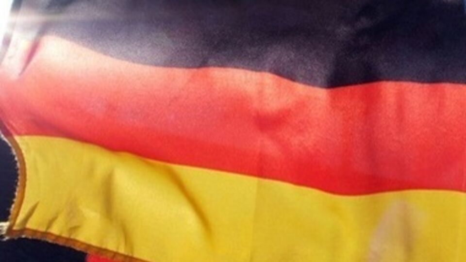 СМИ: Немецкие депутаты пока не планировали ехать в Крым