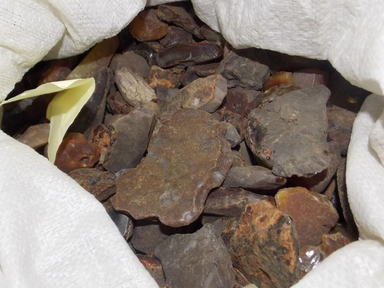 В Украине янтарь добывают в трех областях – Ровенской, Волынской и Житомирской