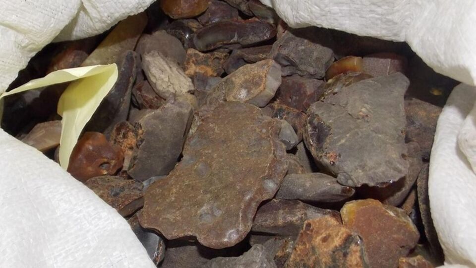 В Украине янтарь добывают в трех областях – Ровенской, Волынской и Житомирской