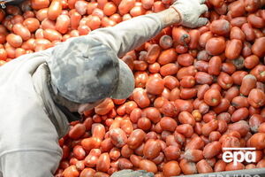 Водитель спас помидоры от уничтожения российскими чиновниками