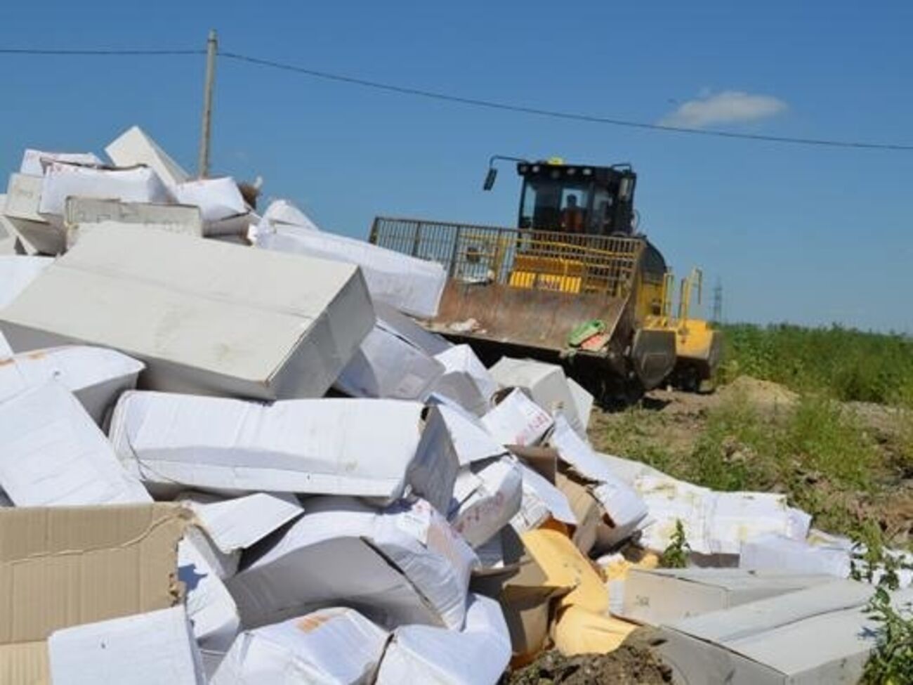 Сыра было очень много --- целый КамАЗ. Его раздавили 45-тонным катком