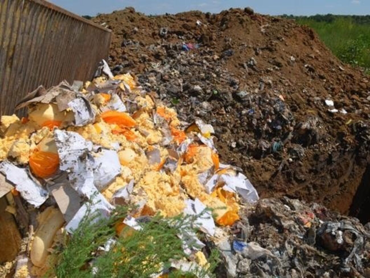 Слава Рабинович: Эти новости из страны гэбэшного гопника облетят все телевизионные каналы мира