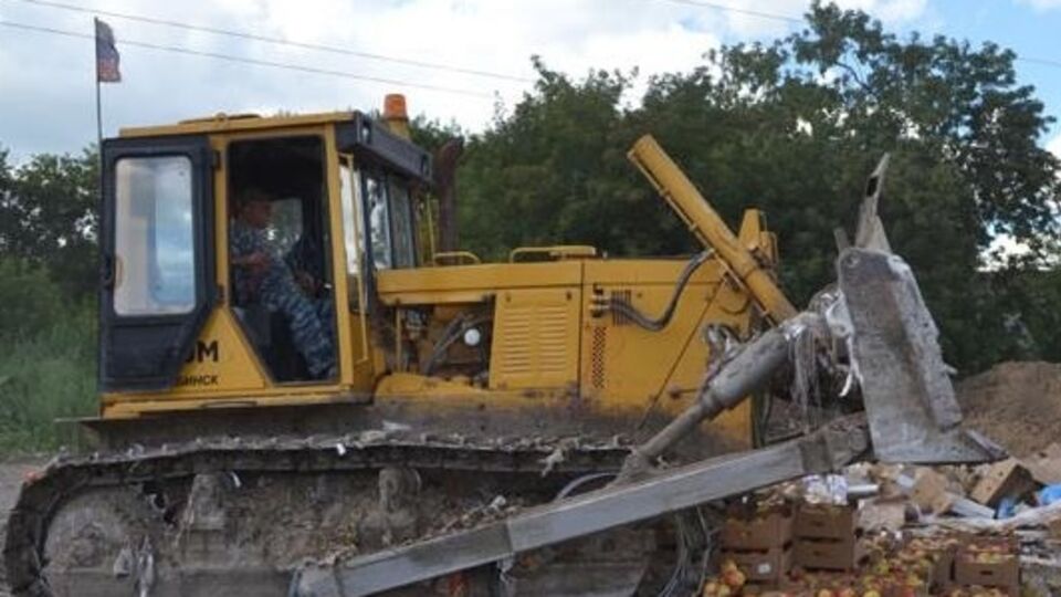 В Новосибирске трактором раздавили партию свежих "санкционных" яблок из Польши. Видео