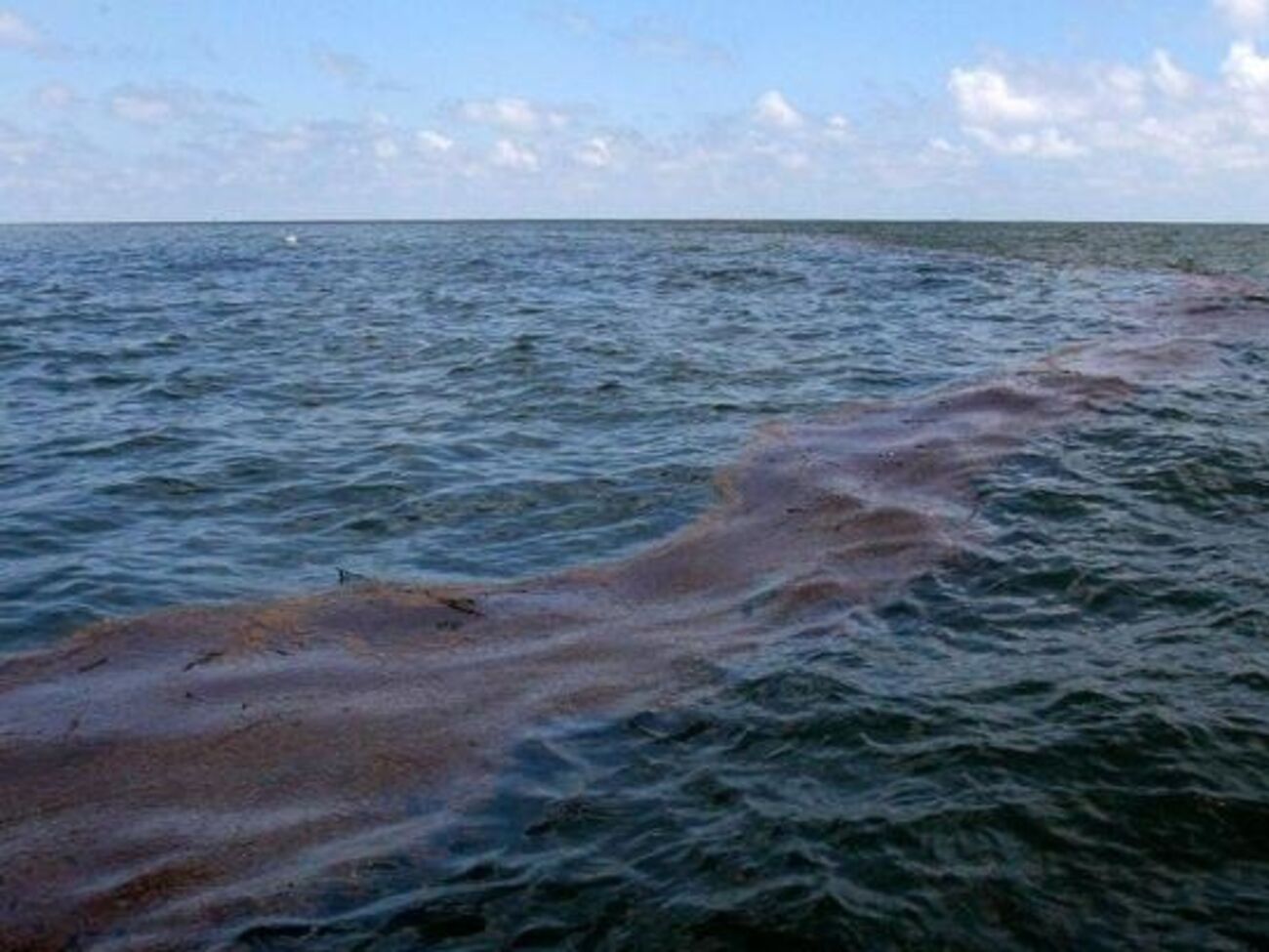 Вблизи Мариуполя разлилась нефть