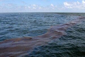 Вблизи Мариуполя разлилась нефть