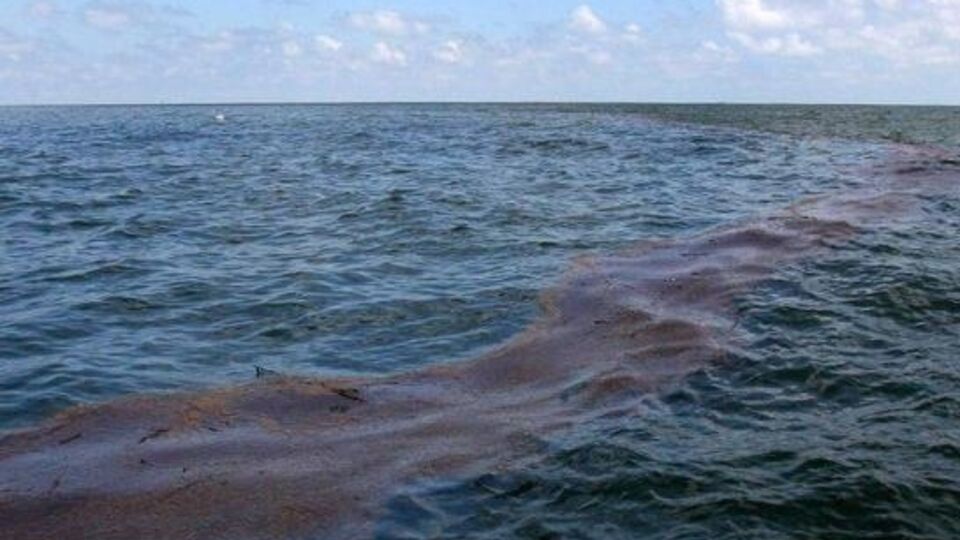 Вблизи Мариуполя разлилась нефть