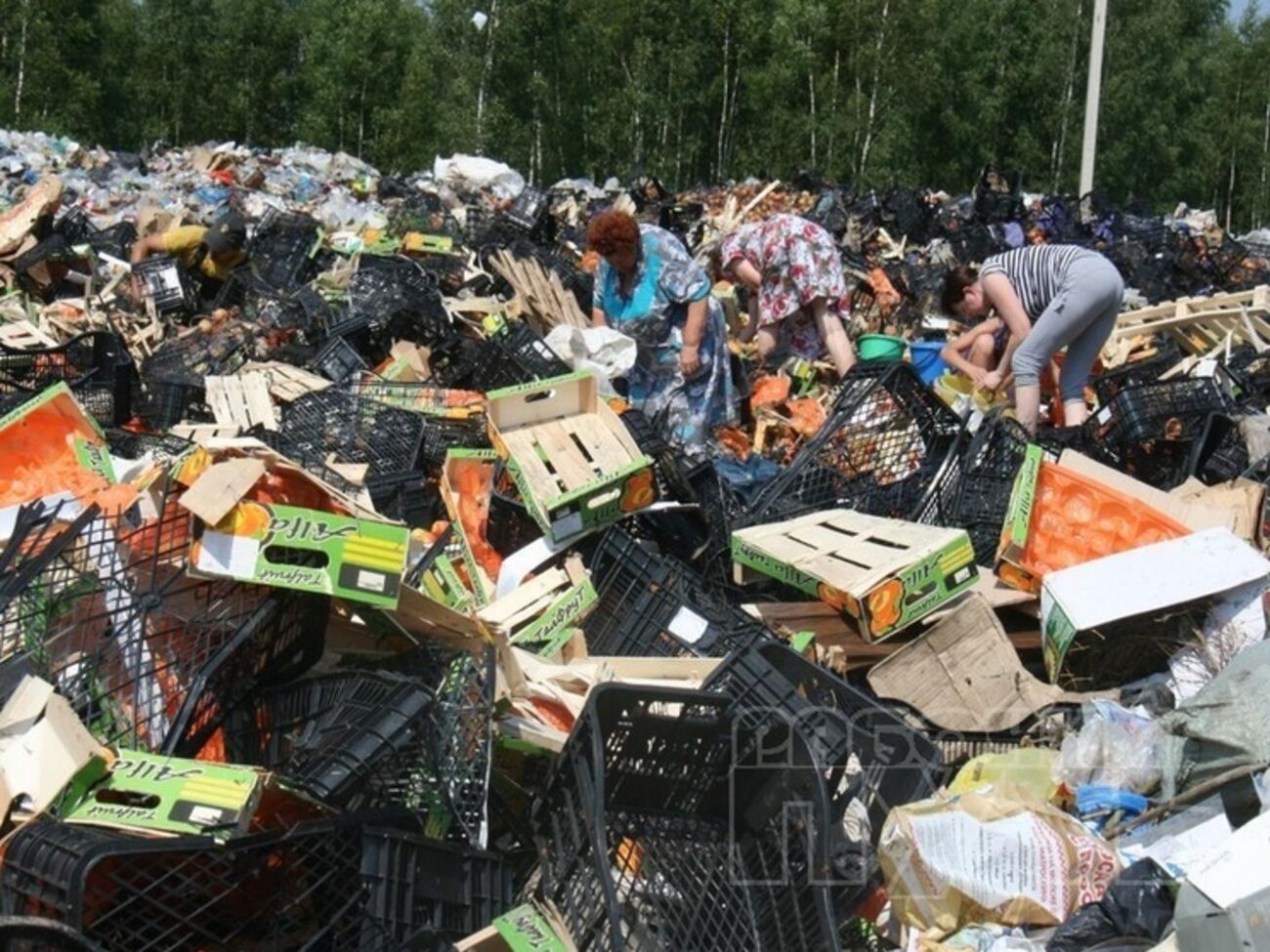 В Смоленской области местные жители унесли с полигона уцелевшие после трактора санкционные продукты. Фоторепортаж