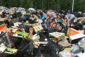 В Смоленской области местные жители унесли с полигона уцелевшие после трактора санкционные продукты. Фоторепортаж