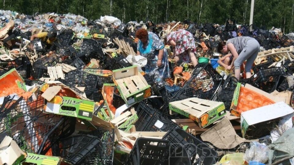 В Смоленской области местные жители унесли с полигона уцелевшие после трактора санкционные продукты. Фоторепортаж