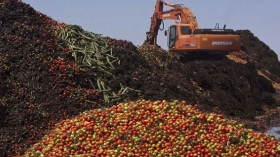 Уничтожение "санкционных помидоров" в российском Смоленске