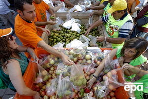 Европейские производители компенсировали потерю российского рынка и нарастили экспорт