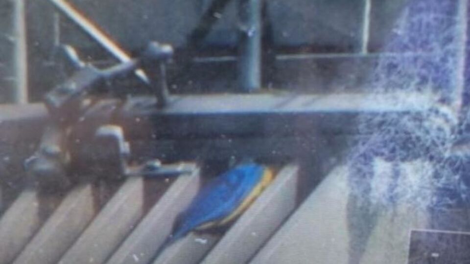 Флаг Украины на Крымском мосту в Москве