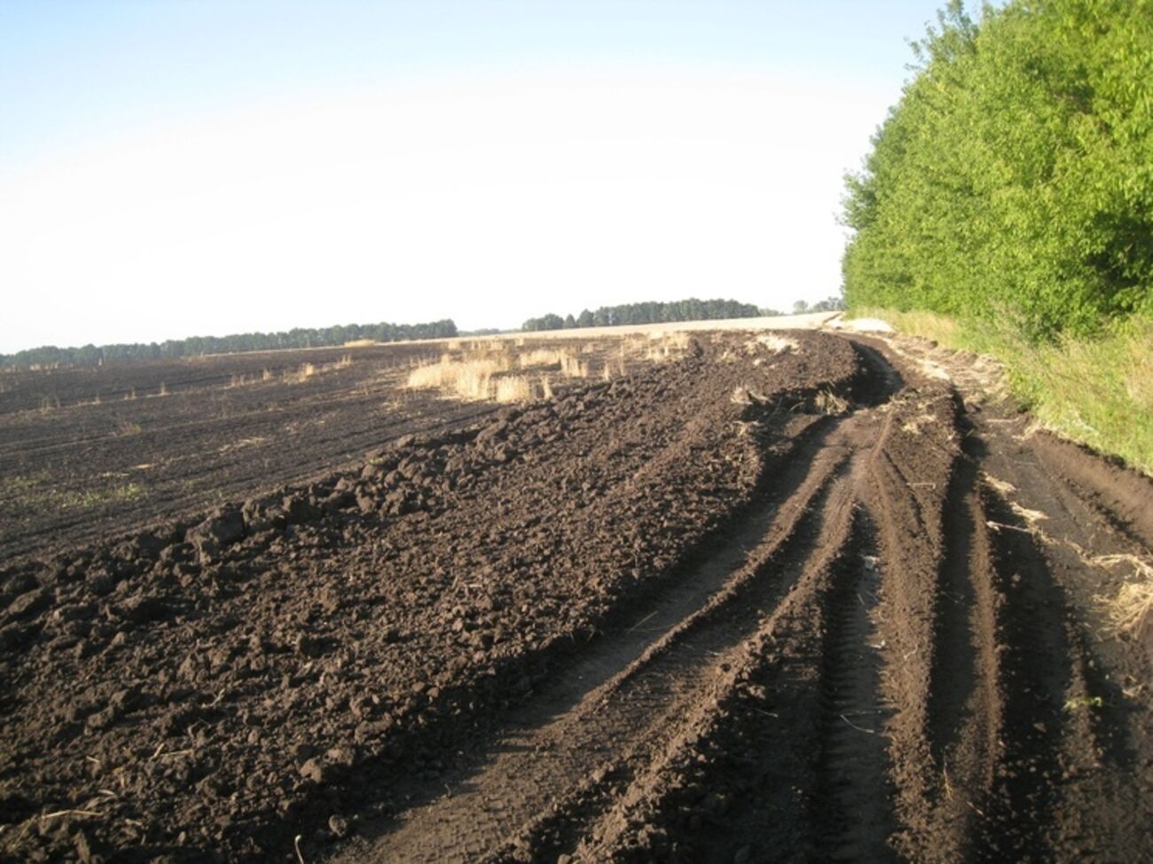 В Житомирской области на поле горела пшеница