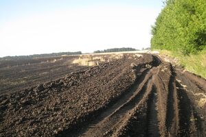 В Житомирской области на поле горела пшеница