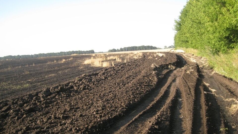 В Житомирской области на поле горела пшеница