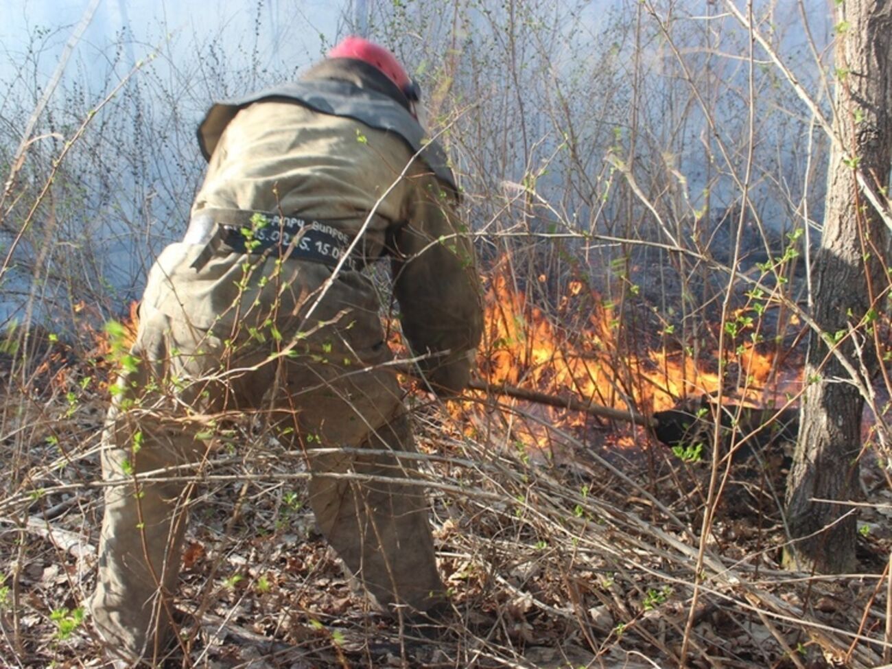 В Чернобыльской зоне пожарные продолжают ликвидировать очаги возгорания