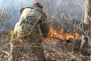В Чернобыльской зоне пожарные продолжают ликвидировать очаги возгорания
